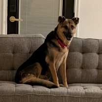 Thumbnail photo of Esta Calm in the Room #3