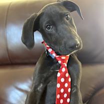 Thumbnail photo of Mr GoodBar #3