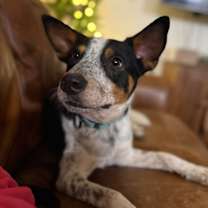 Thumbnail photo of Chase Mississippi #3