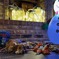 Thumbnail photo of Tiffany Park Avenue #2