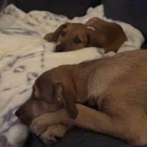 Thumbnail photo of Tiffany Park Avenue #4