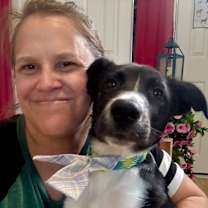 Thumbnail photo of Miles the Cutie #3