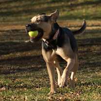 Thumbnail photo of Selene #4