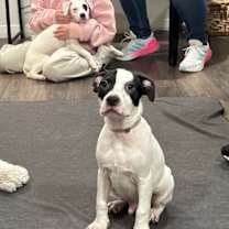 Thumbnail photo of Daniel Adorable #4