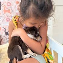 Thumbnail photo of Red Velvet K Pop #4