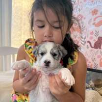 Thumbnail photo of Baby Monster K Pop #3