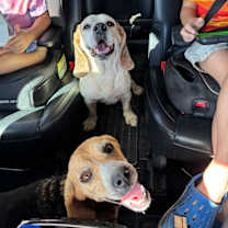 Thumbnail photo of Breeza Lucky Lady of Love #4