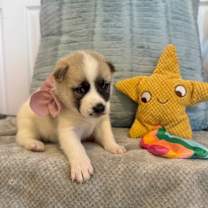 Thumbnail photo of California Travel #1