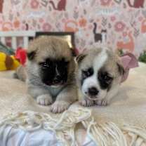 Thumbnail photo of California Travel #2