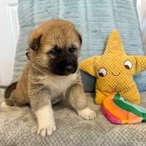 Thumbnail photo of Austin Travel #1