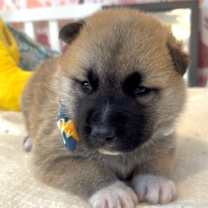 Thumbnail photo of Nashville Travel #3