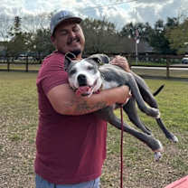 Thumbnail photo of Daisy Adventure Pal #4