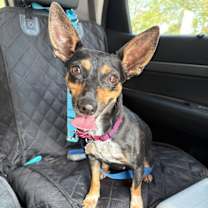 Thumbnail photo of Pebbles Leslie #2