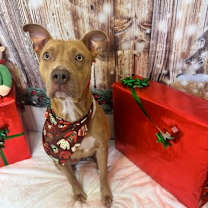 Thumbnail photo of Nicole #1