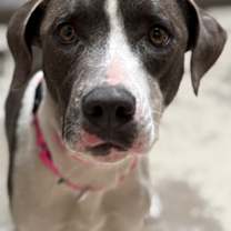 Thumbnail photo of Sallie #1