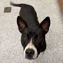 Thumbnail photo of Marcy #1