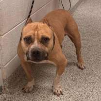 Thumbnail photo of Cash #1