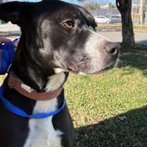 Thumbnail photo of Marcy #2