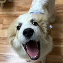 Thumbnail photo of King #1