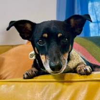 Thumbnail photo of Floyd Daniel #1