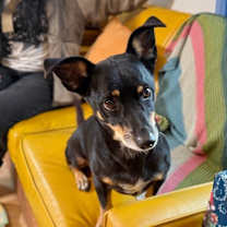 Thumbnail photo of Floyd Daniel #2