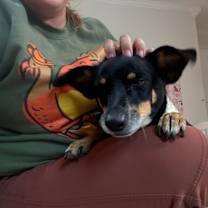 Thumbnail photo of Floyd Daniel #4