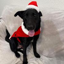 Thumbnail photo of Happy Boy Makes A Happy Home #1