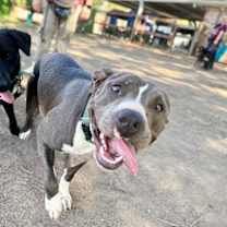 Thumbnail photo of Happy Boy Makes A Happy Home #3