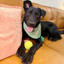 Thumbnail photo of Happy Boy Makes A Happy Home #4