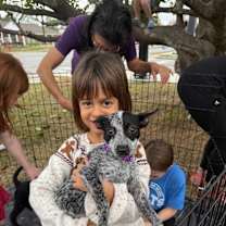 Thumbnail photo of Cranberry Thanksgiving #4