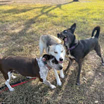 Thumbnail photo of Snow Sweetest Boy #3