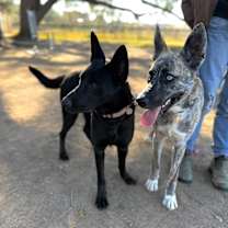 Thumbnail photo of Walker Baby Snuggle Boy #2