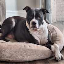 Thumbnail photo of Jasper #2