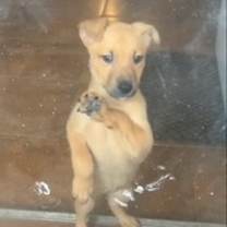 Thumbnail photo of Hazel #1