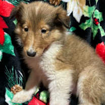 Thumbnail photo of Kate #2