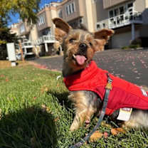 Thumbnail photo of Albany #3