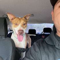 Thumbnail photo of Thomas the Lover Boy #4