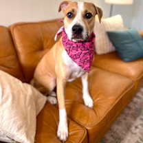 Thumbnail photo of Sandy Avalon The Girl with the Gentlest soul #1