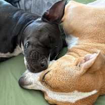 Thumbnail photo of Sandy Avalon The Girl with the Gentlest soul #2