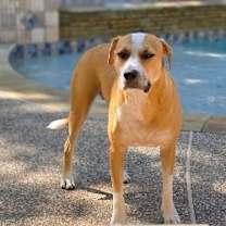 Thumbnail photo of Sandy Avalon The Girl with the Gentlest soul #3