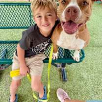 Thumbnail photo of Brooklyn Baby the Sweetest Girl Born to be a family dog #3