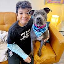 Thumbnail photo of Lola Lovebug your Soulmate on Four Paws #2