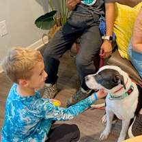 Thumbnail photo of Panda the perfect doggy pal #2