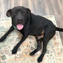 Thumbnail photo of Finn Daniel the Family Man #3