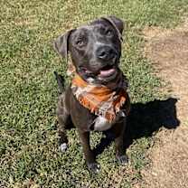 Thumbnail photo of Sammy Simply so sweet #1