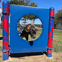 Thumbnail photo of Sammy Simply so sweet #2