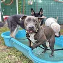 Thumbnail photo of Sammy Simply so sweet #3