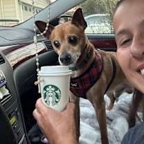 Thumbnail photo of Gizmo Do Your Dance #4