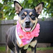 Thumbnail photo of Clementine Cleveland #1