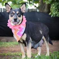 Thumbnail photo of Clementine Cleveland #4